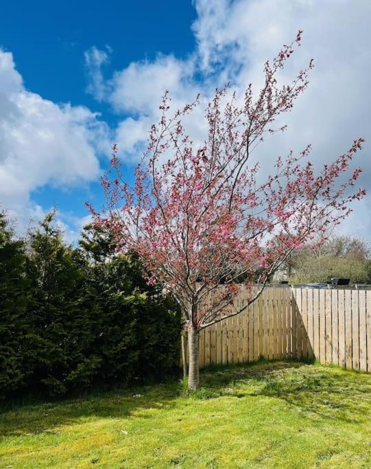 Holiday home Spacious 4 Bedroom Perfect Location *